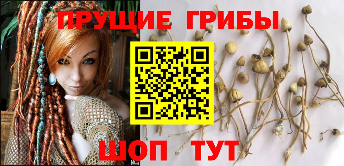 Псилоцибиновые грибы Psilocybine cubensis  Вход с VPN  Псилоцибиновые грибы ЛСД  Салехард 
